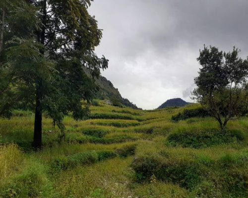 WhatsApp Image 2022-09-19 at 3.51.21 PM-2